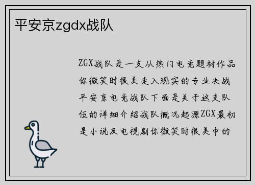 平安京zgdx战队