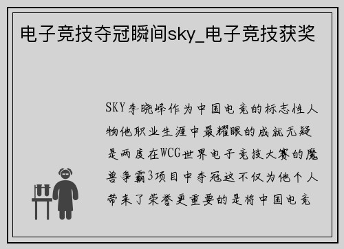 电子竞技夺冠瞬间sky_电子竞技获奖